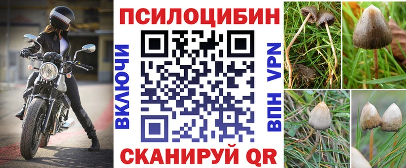 Псилоцибиновые грибы мицелий  Юрьев-Польский 